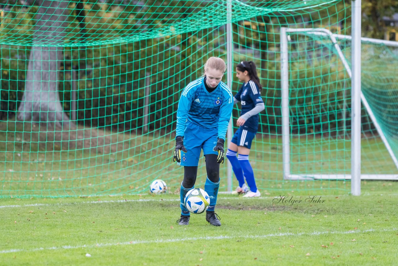 Bild 180 - B-Juniorinnen SV Henstedt Ulzburg - Hamburger SV : Ergebnis: 2:3